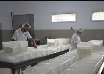 Turizëm me djath tradicional, bashkëpunimi shqiptaro-grek që po lulëzon në jug të vendit