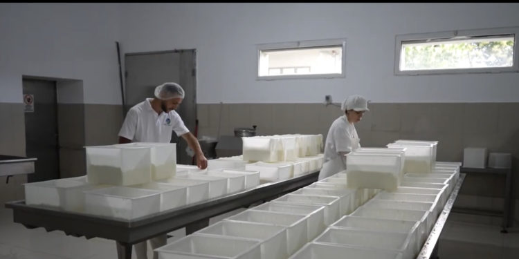 Turizëm me djath tradicional, bashkëpunimi shqiptaro-grek që po lulëzon në jug të vendit