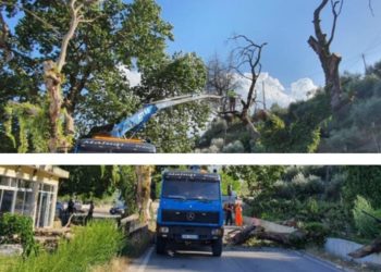 Rrëzohet rrapi në Kordhocë, bllokohet rruga Gjirokastër-Kakavijë (FOTO)