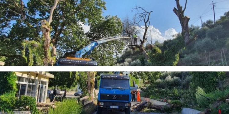 Rrëzohet rrapi në Kordhocë, bllokohet rruga Gjirokastër-Kakavijë (FOTO)