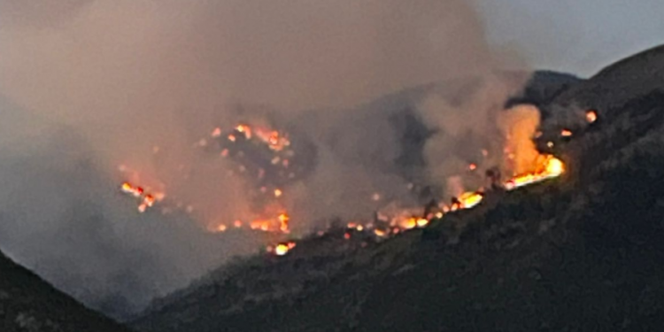 Avionët nga Selaniku nuk ia dalin dot, vijon prej 5 ditësh zjarri në Malin e Çikës