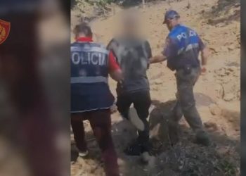 Parcelë me kanabis në Memaliaj, pranga 32-vjeçarit, nën hetim edhe kryeplaku i fshatit (VIDEO)
