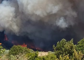 Zjarr i frikshëm në Greqi, evakuohen banorët e dy fshatrave (VIDEO)