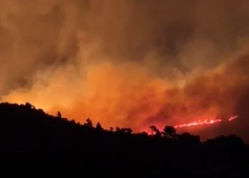 Greqia nuk gjen qetësi nga zjarret, flakët rrethojnë periferinë e Athinës, evakuohen 36 fëmijë dhe 16 mjekë nga një spital