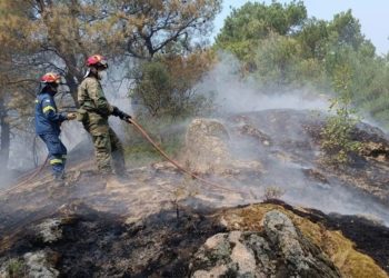 Greqia në luftë me flakët, vatër zjarri në parkun kombëtar më të madh të vendit