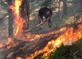 Zjarri në Memaliaj, e pëson mirëmbajtësi i OSHEE