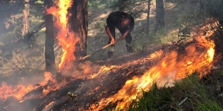 Zjarri në Memaliaj, e pëson mirëmbajtësi i OSHEE