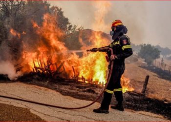 E pazakontë në Greqi, arrestohet 10-vjeçari pasi i vuri flakën pemëve: Më pëlqen të shoh zjarrfikësit kur i shuajnë