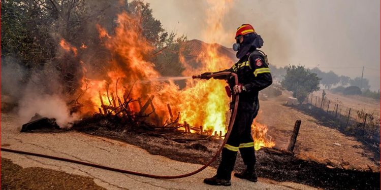 E pazakontë në Greqi, arrestohet 10-vjeçari pasi i vuri flakën pemëve: Më pëlqen të shoh zjarrfikësit kur i shuajnë