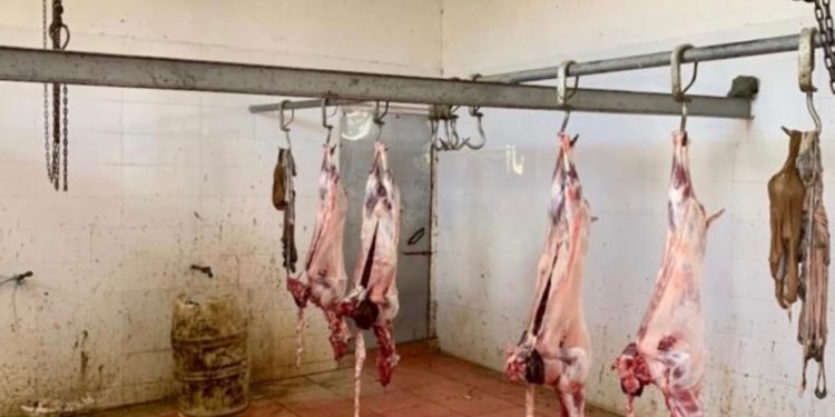 Bllokohet një thertore e paligjshme në Gjirokastër