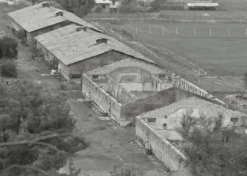 Dëshmia e punonjëses së Bashkisë së Tepelenës: Gjyshja më ka treguar se gjyshi, që ishte kryetar i Degës vinte i mërzitur, se i kërkonin të torturonte të arrestuarit dhe ai…