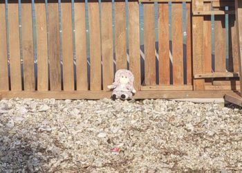 Për Bledar Avdian, që humbi vajzën e tij në Himarë