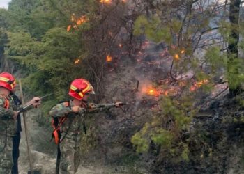Situatë e rëndë nga zjarri në Selenicë, Peleshi thirrje banorëve të evakuohen