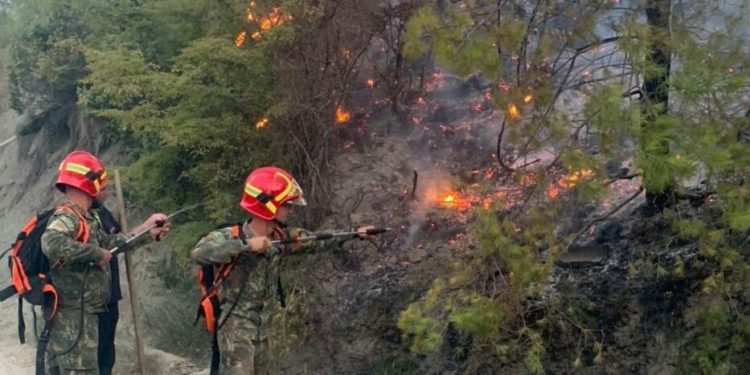 Situatë e rëndë nga zjarri në Selenicë, Peleshi thirrje banorëve të evakuohen