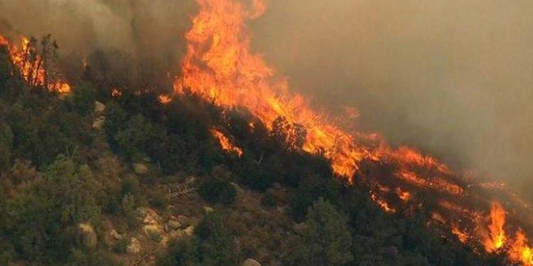 Tre vatra zjarri aktive në të gjithë vendin, në terren 331 forca të ushtrisë