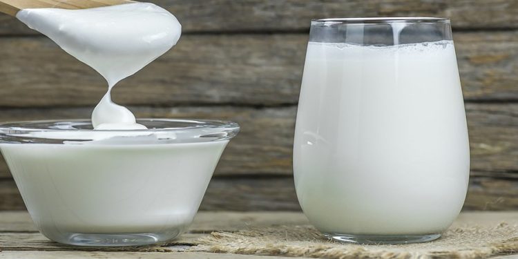 Nga 1 gushti, çmimet e qumështit dhe kosit rriten sërish me 11%