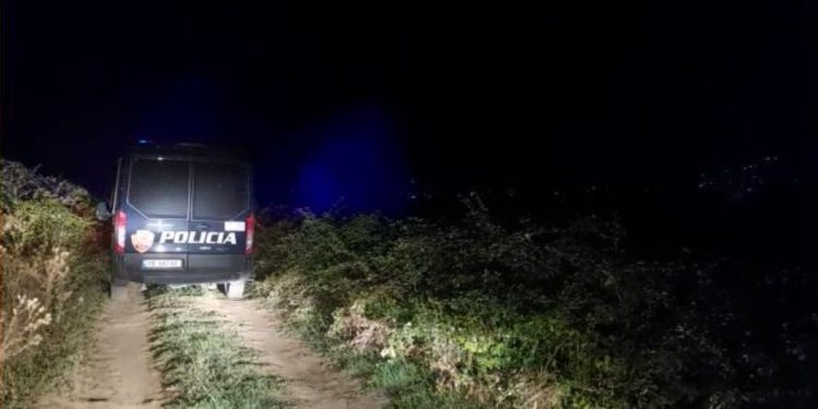 Çmenduri shqiptare/ Sherri për lopën përfundon në përplasje me armë mes dy komshinjve (Detajet)