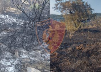 Ndezi zjarr qëllimisht, arrestohet piromani i Memaliajt (FOTO)