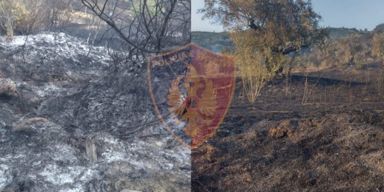 Ndezi zjarr qëllimisht, arrestohet piromani i Memaliajt (FOTO)