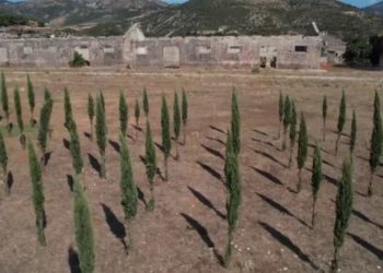 Pelegrinazh dhimbjeje dhe kujtese në ish kampin e internimit në Tepelenë, këtu humbën jetën mbi 300 fëmijë (VIDEO)