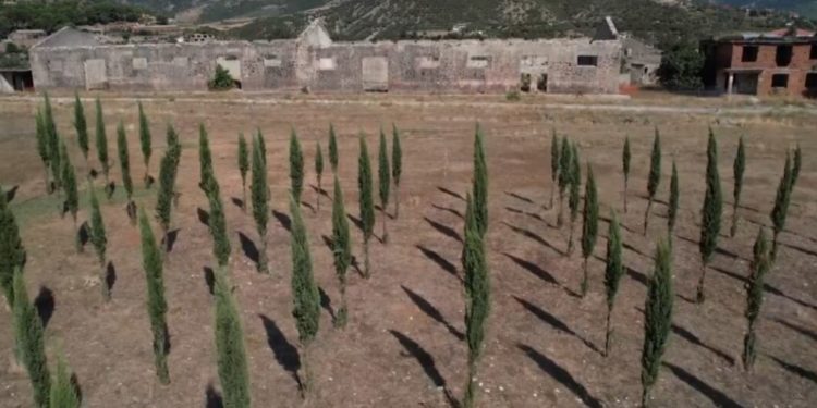 Pelegrinazh dhimbjeje dhe kujtese në ish kampin e internimit në Tepelenë, këtu humbën jetën mbi 300 fëmijë (VIDEO)