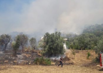 Zjarr në Memaliaj, rrezikohen banesat (FOTO)