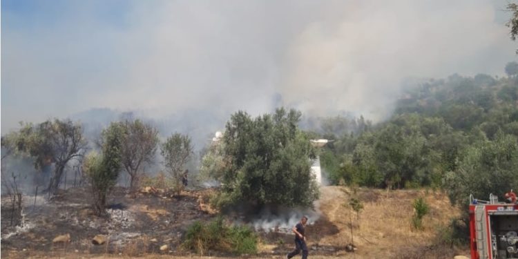 Zjarr në Memaliaj, rrezikohen banesat (FOTO)
