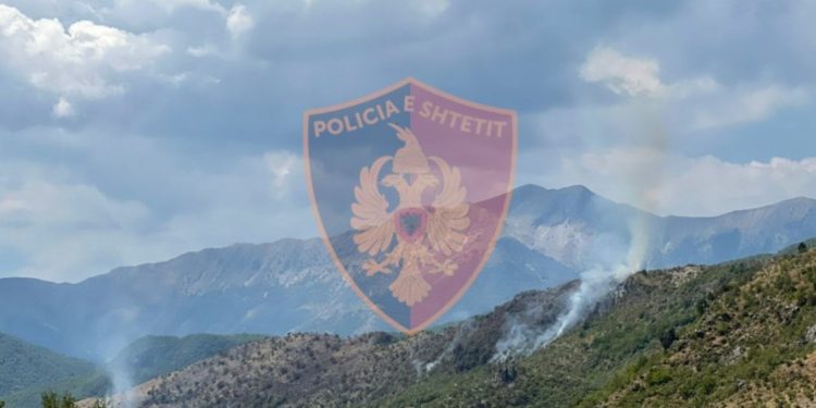 Nën hetim dy piromanët e Gjirokastrës, policia zbardh detajet