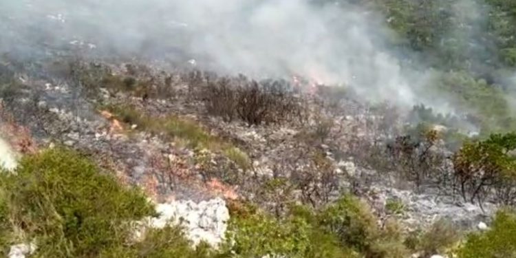 Dita e tretë zjarrit në kodrën e Palasës Himarë, forcat zjarrfikëse bejteje me flakët