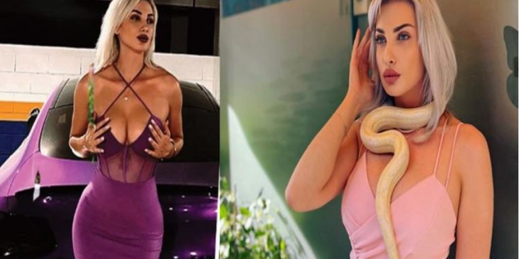 “O të degjeneruar, shkollën e keni marrë nga profesorët Don Zhuanë”, AMP nis hetimin për policen me gjarpër që fyejti gazetarët