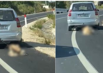 Pamje të rënda në Vlorë/ Shoferi lidh qenin pas makine dhe e tërheq zvarrë (FOTO)