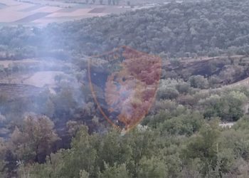 I dogji tokën me agrume bashkëfshatarit, arrestohet i riu nga Memaliaj