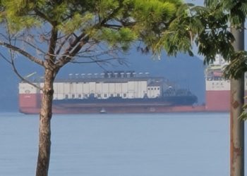 Mbërrin në Vlorë anija speciale, që do të prodhojë energji elektrike, ambientalistët e presin me protestë (VIDEO)