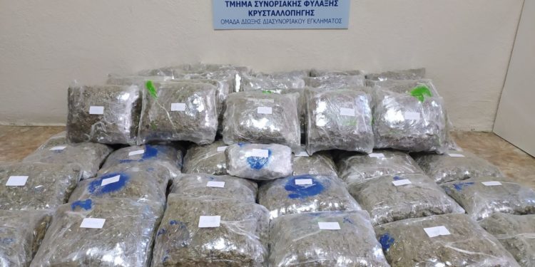 52 kg drogë në kufirin shqiptaro-grek, arrestohet 31-vjeçari