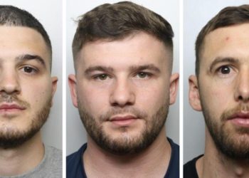 Kishin ngritur fermë kanabisi në Angli, goditet banda shqiptare (Emrat)