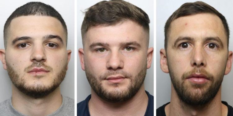 Kishin ngritur fermë kanabisi në Angli, goditet banda shqiptare (Emrat)