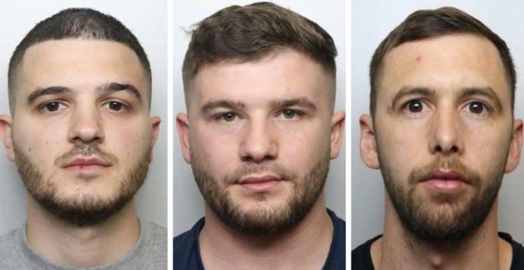 Kishin ngritur fermë kanabisi në Angli, goditet banda shqiptare (Emrat)