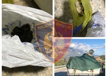 Gjirokastër, i riu arrestohet për prerje të druve pa leje, policia i gjen në shtëpi edhe kanabis