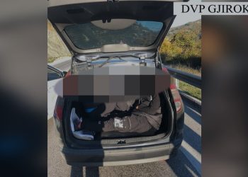 Klandestinë edhe në bagazh të makinës, pranga 34-vjeçarit në Gjirokastër (VIDEO)
