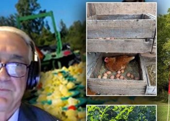 Emigranti shqiptar hap fermë në Kanada: Djemtë e mi me universitet kujdesen për frutat dhe perimet