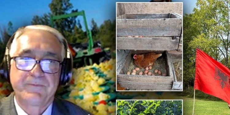 Emigranti shqiptar hap fermë në Kanada: Djemtë e mi me universitet kujdesen për frutat dhe perimet