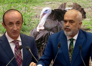 ‘Ju kanë rrahur që kur keni qenë këlyshë’/ Rama “lëshon” gojën ndaj opozitës: Jeni të pafytyrë, pa atdhe!