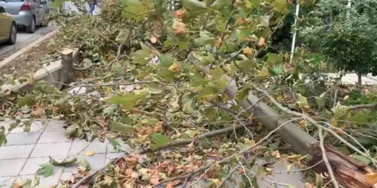 Stuhia, probleme në Vlorë e Gjirokastër, shumë fshatra pa energji elektrike