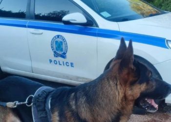 Punonte në vjeljen e ullinjve, identifikohet shqiptari i vrarë dhe groposur në Greqi (Emri)