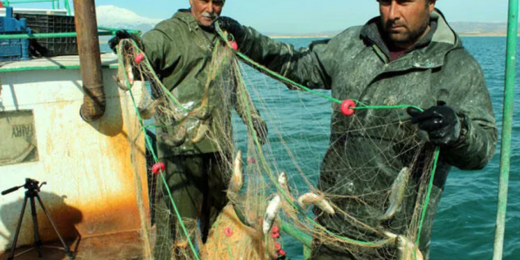 Shqipëria në krizë për punëtorë: U jepen leje pune mbi 5000 të huajve
