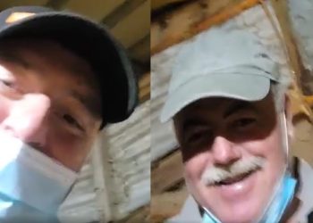 “Xha Mitrua dhe doktori…”, e pazakontë në Gjirokastër, delja e një fermeri lind me operacion 3 qingja (VIDEO)