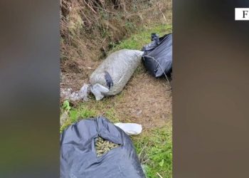 Tentuan të hedhin në lumë thasët e mbushur me kanabis, arrestohen tre persona