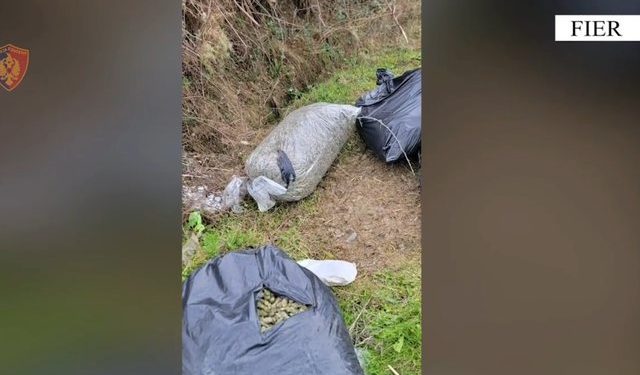 Tentuan të hedhin në lumë thasët e mbushur me kanabis, arrestohen tre persona