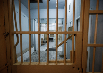 Amnistia në burgje, kategoritë që përfitojnë