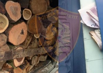 Kishte prerë dru pa leje dhe tentoi t’i jepte 7 mijë lekë policit, arrestohet i riu në Sarandë
